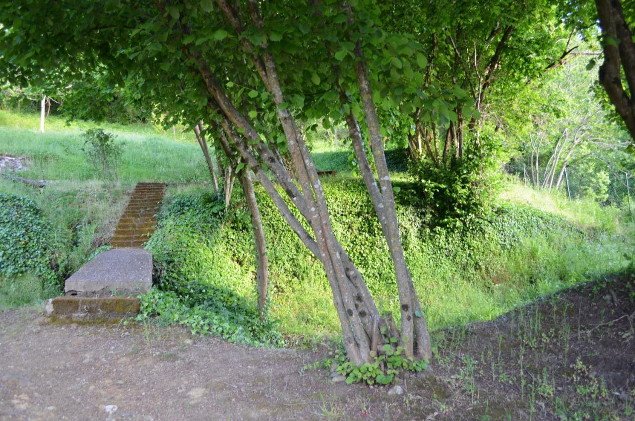 Casa Sorgente Apartman Montefiascone Kültér fotó