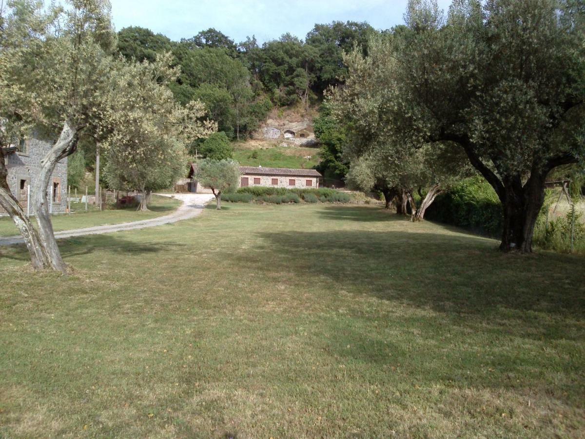 Casa Sorgente Apartman Montefiascone Kültér fotó